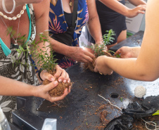 Veranistas aprendem a fazer vaso de plantas com fibra de coco em oficina no Verão Maior