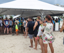 Veranistas aprendem a fazer vaso de plantas com fibra de coco em oficina no Verão Maior