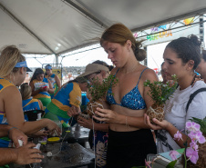Veranistas aprendem a fazer vaso de plantas com fibra de coco em oficina no Verão Maior
