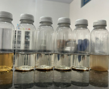Pesquisa da Unioeste estuda como transformar cabelo humano em adubo