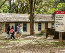 Paraná é o 2º estado com maior proporção de jovens matriculados no ensino superior