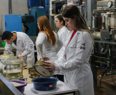 Paraná é o 2º estado com maior proporção de jovens matriculados no ensino superior