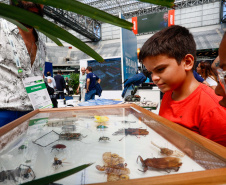 Paraná apresenta startups e serviços públicos tecnológicos na abertura do Smart City Expo