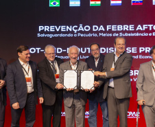 Paraná terá banco de antígenos e vacinas contra febre aftosa para atender todo o País