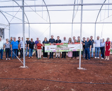 Nova estufa climatizada da UENP traz ganho acadêmico e ajuda pequenos produtores