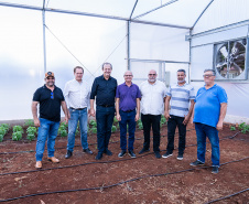 Nova estufa climatizada da UENP traz ganho acadêmico e ajuda pequenos produtores