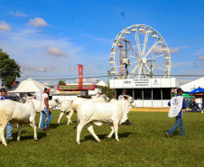 Governo do Paraná apresenta inovação e tecnologia aplicada ao agro na ExpoLondrina 2025