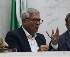 Verão Maior Paraná e equipes são homenageados na Assembleia Legislativa