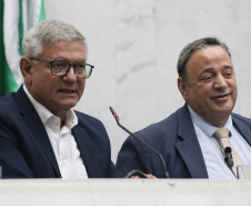 Verão Maior Paraná e equipes são homenageados na Assembleia Legislativa