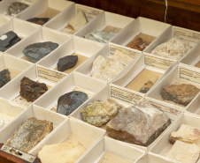 Acervo histórico do Tecpar é incorporado pelo Museu de Ciências Naturais da UEPG