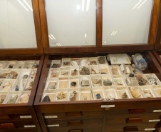 Acervo histórico do Tecpar é incorporado pelo Museu de Ciências Naturais da UEPG