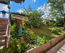 Clube de Ciências revitaliza escola e incentiva empreendedorismo em Colombo