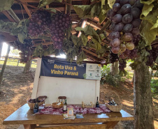 Via Rural Smart Farm reúne 19 mil pessoas no primeiro fim de semana da ExpoLondrina