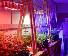 Com apoio do Tecpar, pesquisa propõe soluções sustentáveis para a agricultura