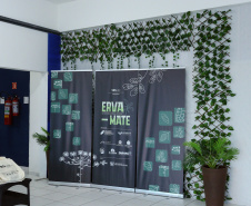 Paraná avança na internacionalização da erva-mate com novas parcerias