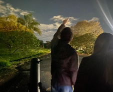 Museu de Ciências Naturais da Unicentro promove “Noite Luminescente” com oficinas