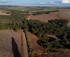 Estado autoriza início das obras da ligação asfáltica da PR-239 entre Mato Rico e Roncador