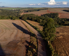 Estado autoriza início das obras da ligação asfáltica da PR-239 entre Mato Rico e Roncador