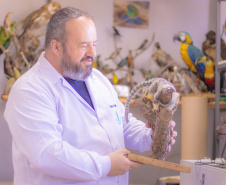 Pesquisa e ensino: Laboratório de Zoologia da UEPG tem mais de mil animais conservados