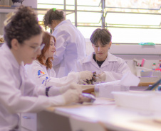 Pesquisa e ensino: Laboratório de Zoologia da UEPG tem mais de mil animais conservados