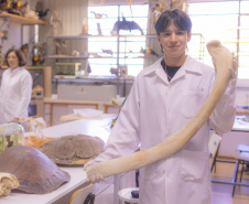 Pesquisa e ensino: Laboratório de Zoologia da UEPG tem mais de mil animais conservados