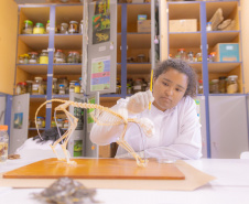 Pesquisa e ensino: Laboratório de Zoologia da UEPG tem mais de mil animais conservados