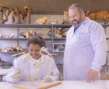 Pesquisa e ensino: Laboratório de Zoologia da UEPG tem mais de mil animais conservados