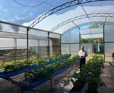 Com auxílio do Tecpar, Paraná terá nova tecnologia europeia para sistemas agrícolas