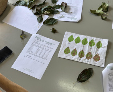 Com auxílio do Tecpar, Paraná terá nova tecnologia europeia para sistemas agrícolas