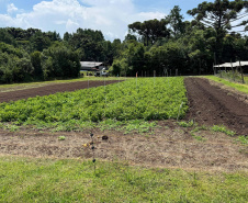 Com auxílio do Tecpar, Paraná terá nova tecnologia europeia para sistemas agrícolas