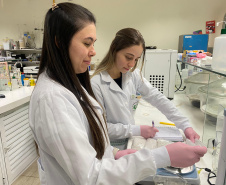 Paraná concorre a prêmio nacional com programa que integra universidades e mercado