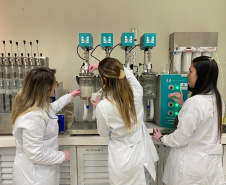 Paraná concorre a prêmio nacional com programa que integra universidades e mercado