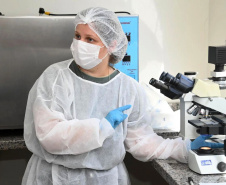 Pesquisadoras da Unicentro lideram três grandes projetos internacionais em nanotecnologia