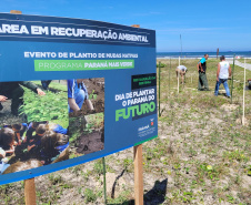 IAT estabelece parceria com a UFPR Litoral para projeto de conservação da restinga