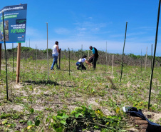 IAT estabelece parceria com a UFPR Litoral para projeto de conservação da restinga