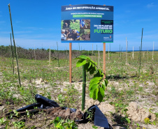 IAT estabelece parceria com a UFPR Litoral para projeto de conservação da restinga