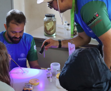 Oficinas de plantas medicinais, saúde e gastronomia marcam ações da Operação Rondon