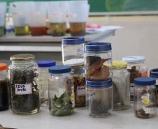 Oficinas de plantas medicinais, saúde e gastronomia marcam ações da Operação Rondon