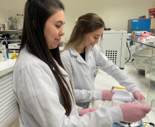 Unioeste desenvolve projeto para transformar resíduos de tilápia em colágeno