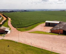Tecpar amplia atuação na validação de inventários e projetos de carbono