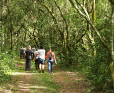 Caminhos do Peabiru: Lapa e Curitiba recebem oficinas para mapear rota turística milenar