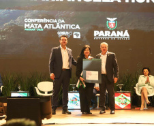 Pesquisadora Mariangela Hungria recebe a Ordem do Pinheiro, maior comenda do Paraná