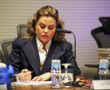 Piana destaca diferenciais do Paraná para a Agência Francesa de Desenvolvimento