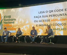 Seminário: IDR-PR apresenta caminhos para aumento da produção sustentável do milho