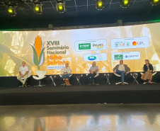 Londrina recebe seminário de milho safrinha, responsável por 80% da produção