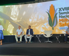 Londrina recebe seminário de milho safrinha, responsável por 80% da produção