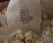 Agenda cultural da semana: comédias, dramas complexos e Rubel invadem o Guaíra