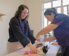 Pesquisa da UEPG desenvolve gel à base de tilápia que trata feridas em animais