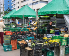 Estado investe R$ 14,7 milhões em nova fase do programa Paraná Mais Orgânico