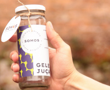 Paraná cria primeira marca coletiva do País unindo produtos regionais e turismo